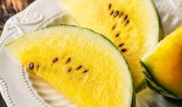 瓜瓜基地 吃瓜网官网,吃瓜网官网带你畅游瓜果世界