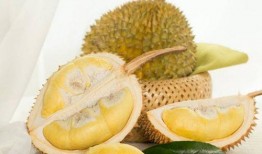 必吃大瓜 fill研究免费入口,免费入口背后的fill研究奥秘